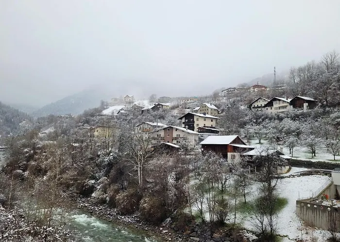 Stein By Interhome * Pians